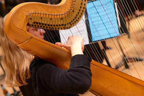 University of Maryland harp student